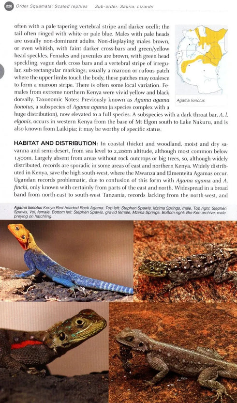 Field Guide to East African Reptiles - Steve Spawls 2018